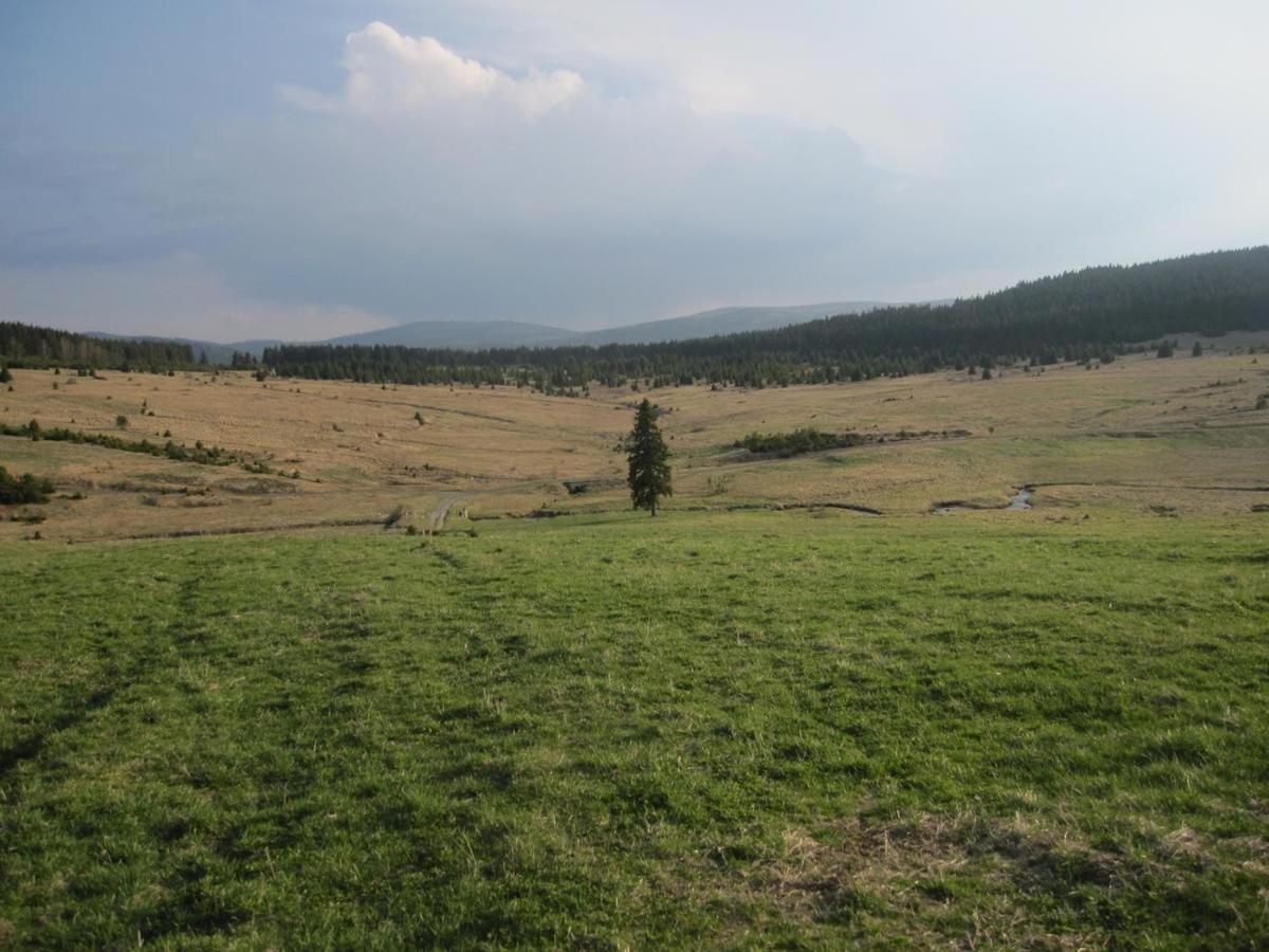 Železná Ruda Penzion Alfa מראה חיצוני תמונה
